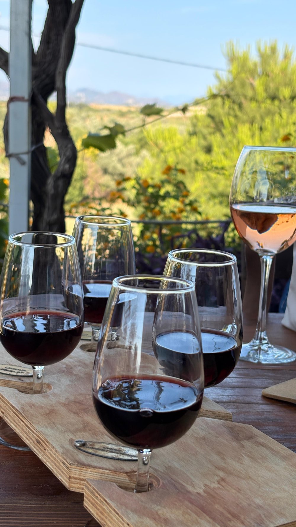 Calici di vino di Datça serviti su un tavolo con vista sulle colline e sul mare